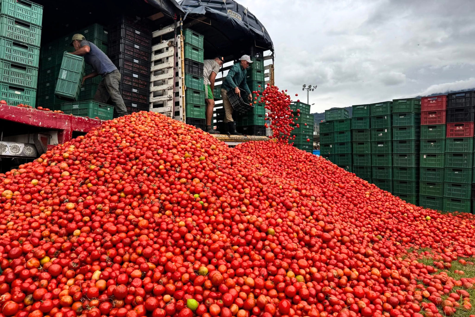 Sutamarchán desata la Gran Tomatina Colombiana como antesala a la Copa del Mundo 2026